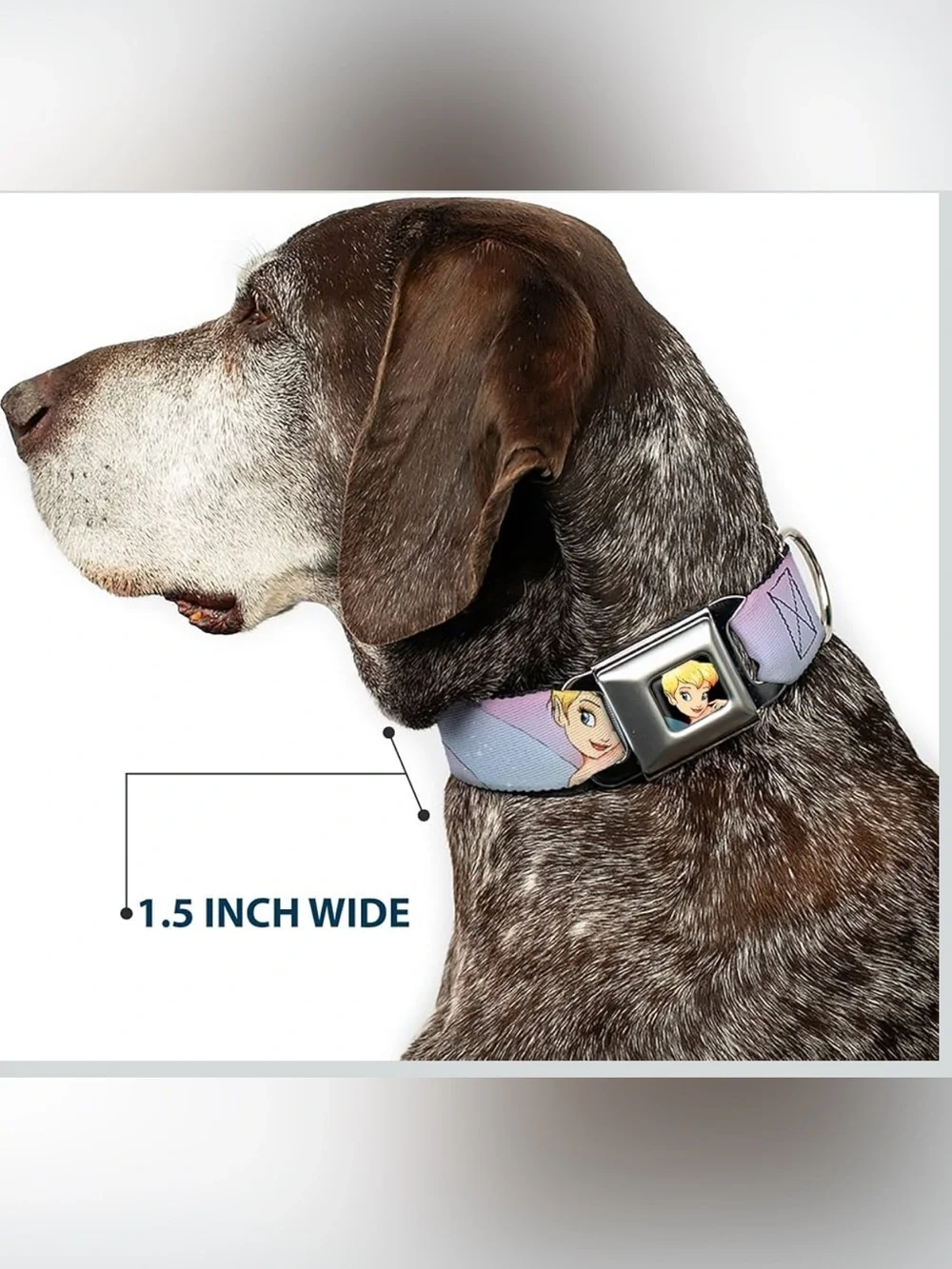 Buckle-Down Disney Tinker Bell Seatbelt Buckle Dog Collar– Large